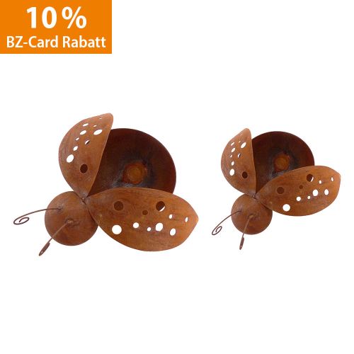 Produktbild zum Produkt 'Marienkäfer 2er-Set - Edelrost'